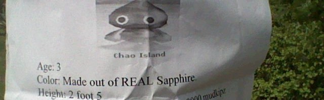 Have You Seen This Chao?