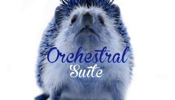 Community Spotlight: Hedgehog Orchestral Suite