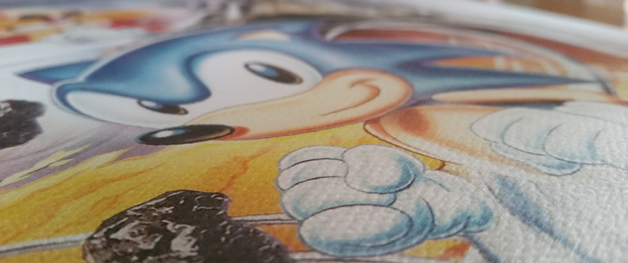 TSS Reviews: Sonic the Hedgehog Art Print