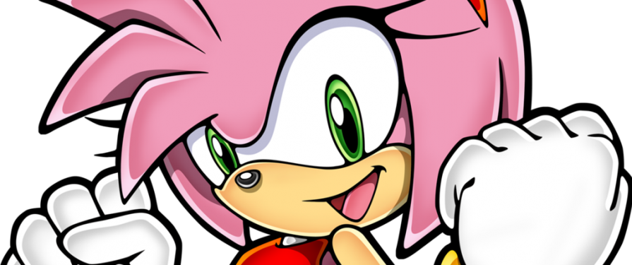 Seduce Your Significant Other With These Romantic Amy Rose Facts