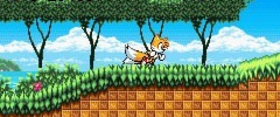 Brand New Sonic Advance Screens Revealed