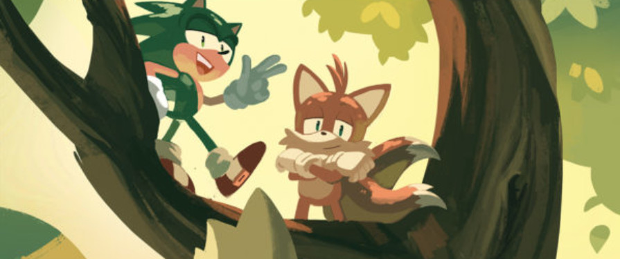 Comic Previews: Solicitations for IDW Sonic the Hedgehog #13 and IDW Sonic the Hedgehog Volume 2 revealed
