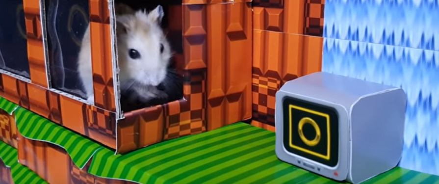 Check Out These INCREDIBLE Sonic-Themed Hamster Mazes!