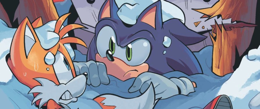 Covers and Solicitations Reveals for IDW’s Sonic the Hedgehog #35 and Bad Guys #3